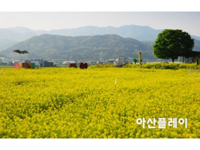 송악815
